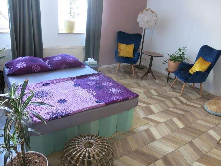 Apartment Stuckverzierte, Zentrumsnahe Im Sueden Leipzig